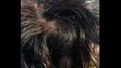 Masturbándose en el bosque: una experiencia sexual en la naturaleza